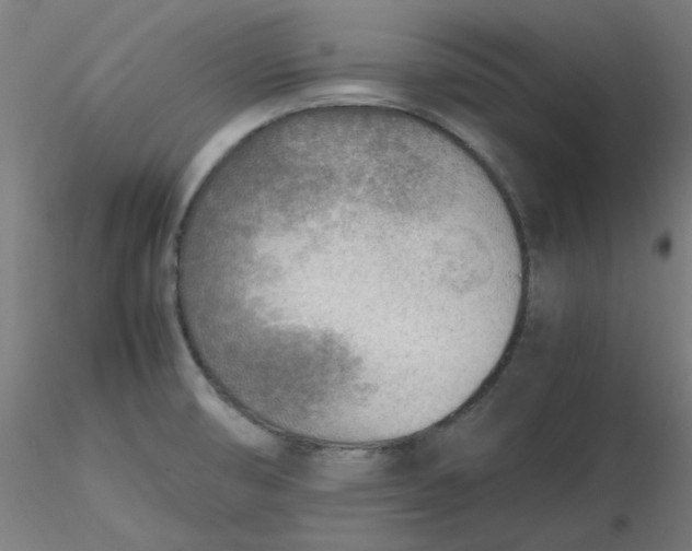 X0000116461474200912231350