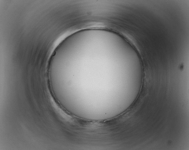 X0000116461475200912231350