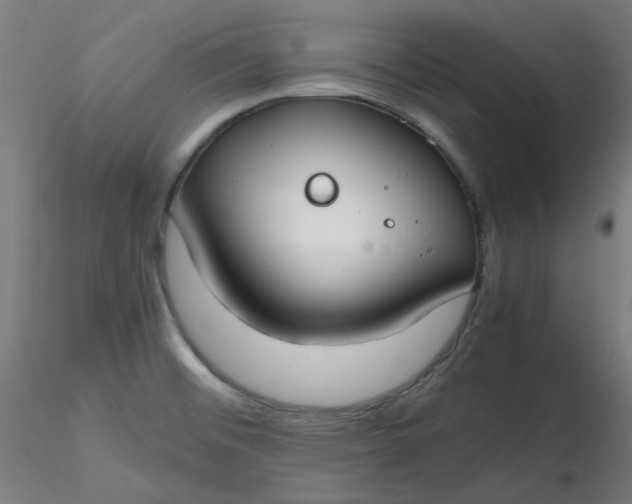 X0000116461476200912231350