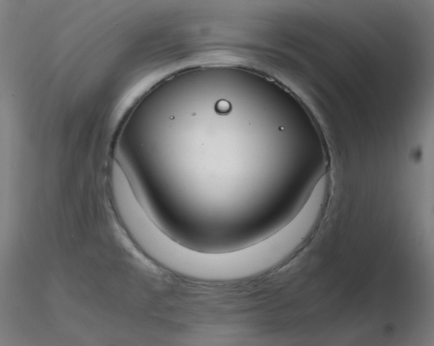 X0000116461477200912231350