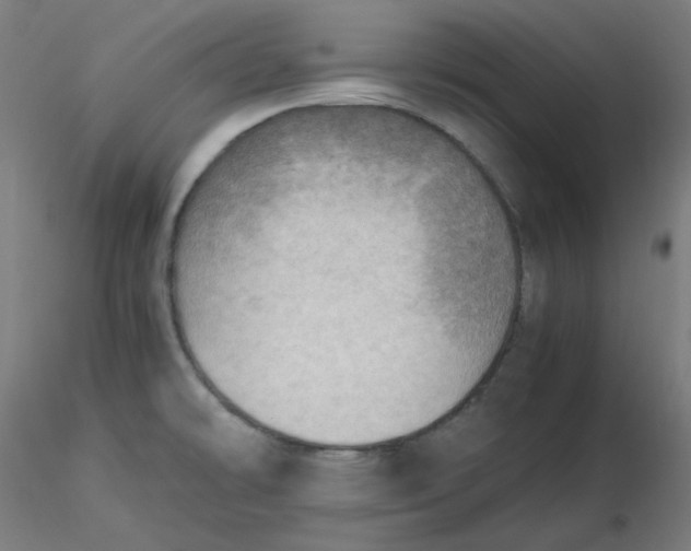 X0000116461478200912231350