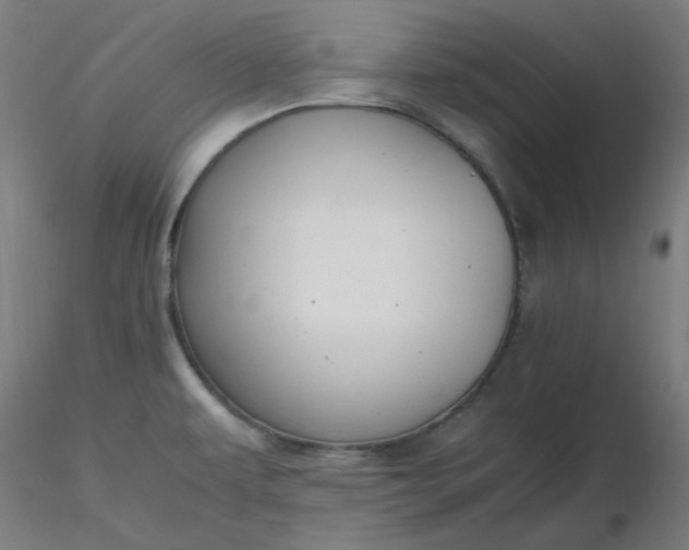 X0000116461479200912231350