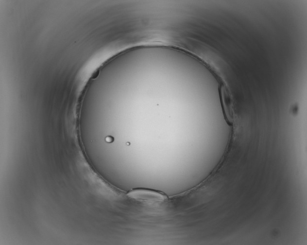 X0000116461480200912231350