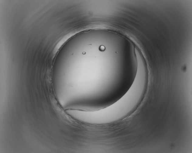 X0000116461481200912231350