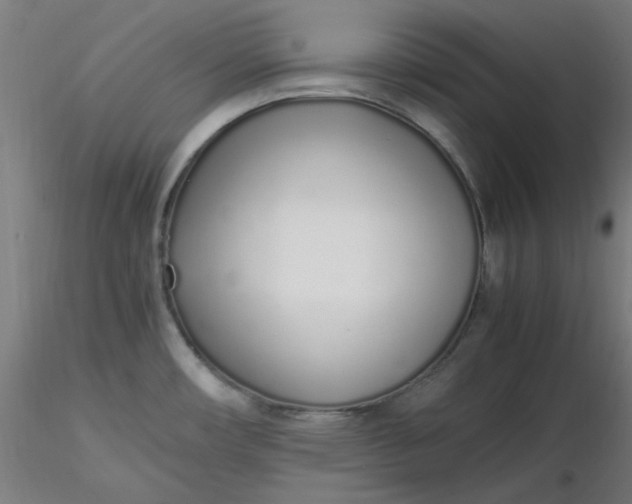 X0000116461482200912231350