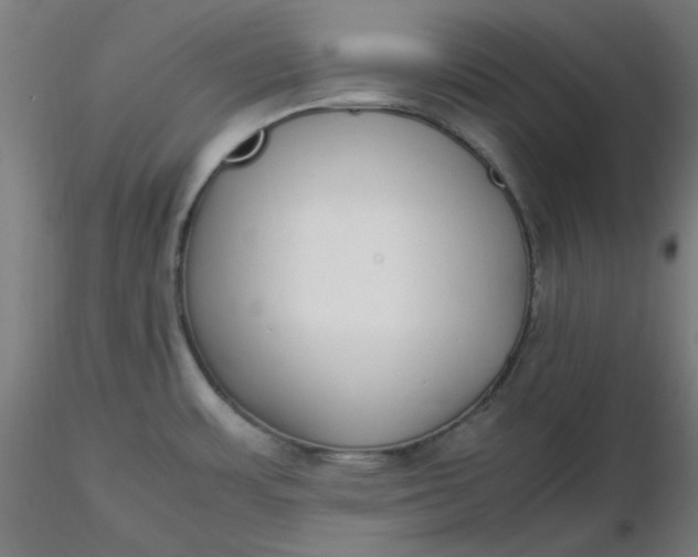 X0000116461483200912231350