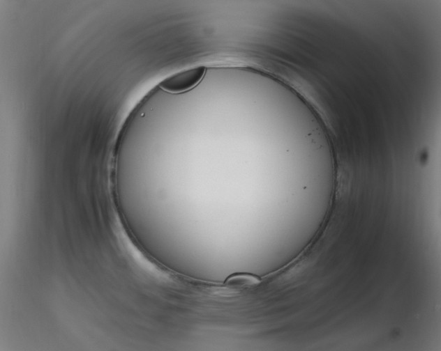 X0000116461484200912231350
