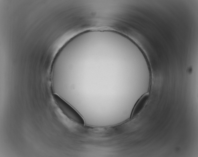 X0000116461485200912231350