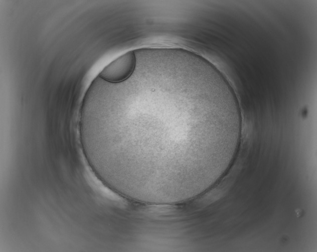 X0000116461486200912231350