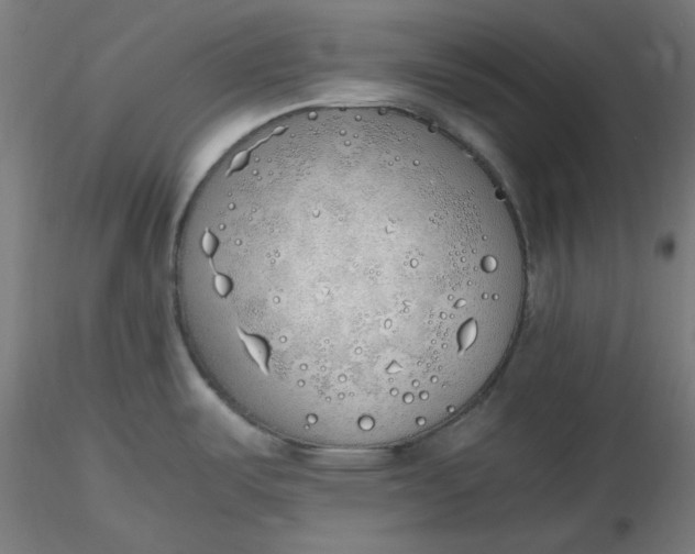 X0000116461487200912231350