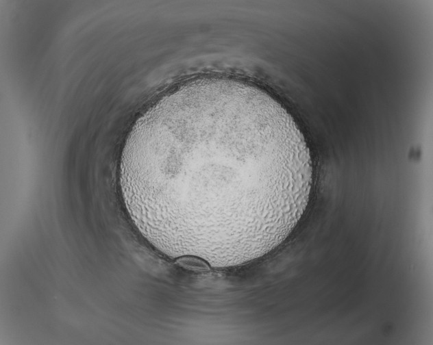X0000116461489200912231350