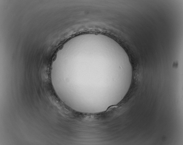 X0000116461490200912231350