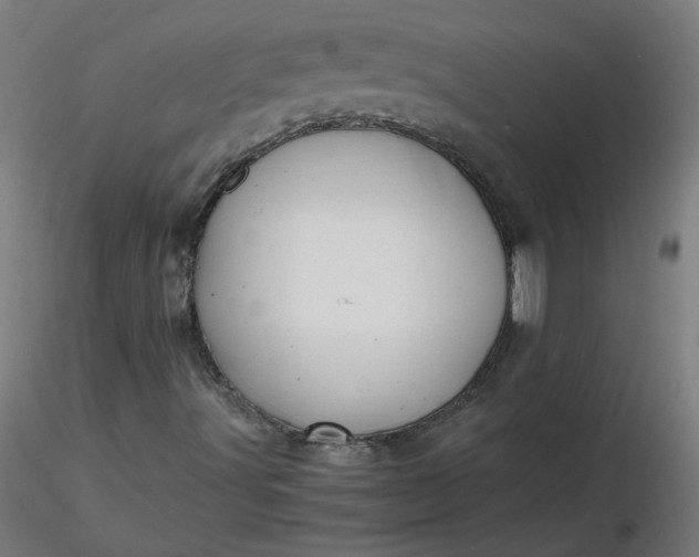 X0000116461491200912231350