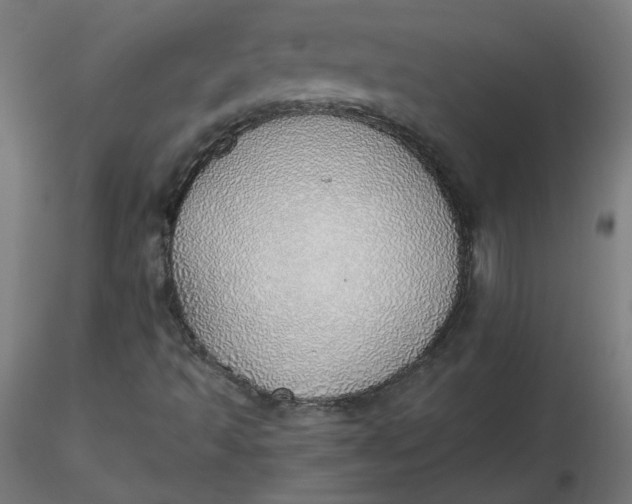 X0000116461493200912231350