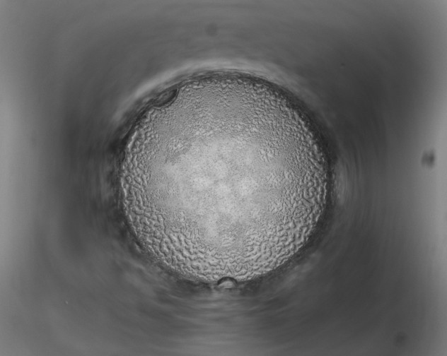 X0000116461494200912231350