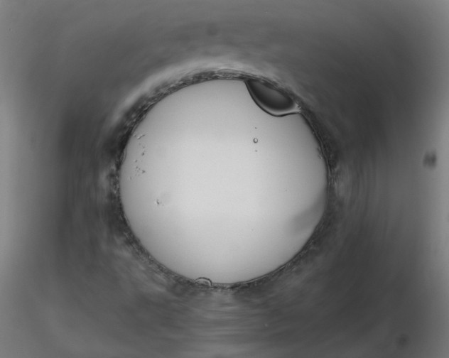 X0000116461495200912231350
