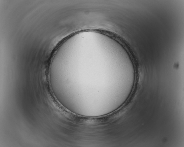X0000116461497200912231350