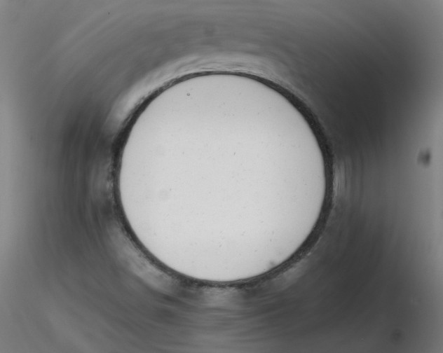 X0000116461498200912231350