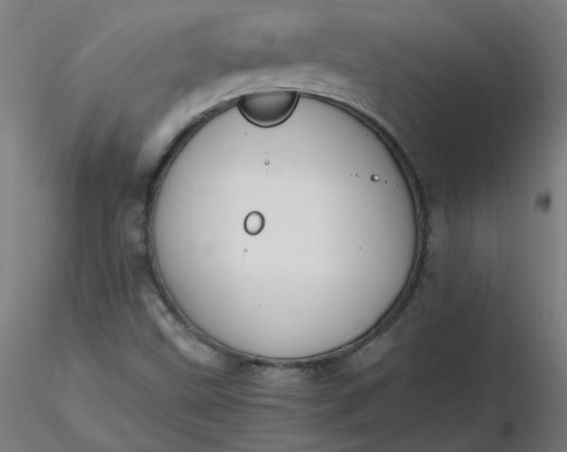 X0000116461499200912231350