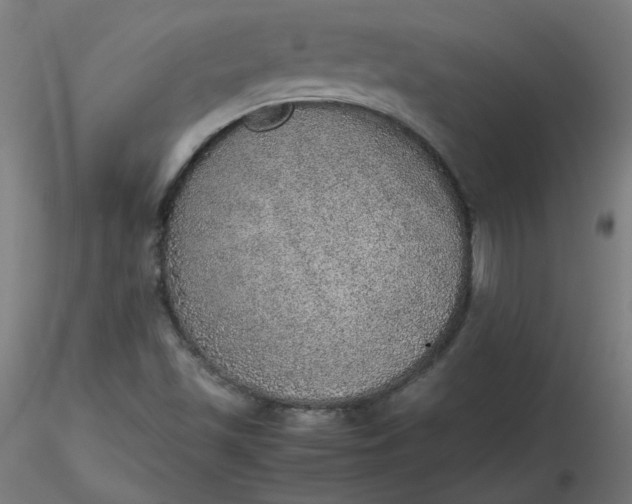 X0000116461501200912231350
