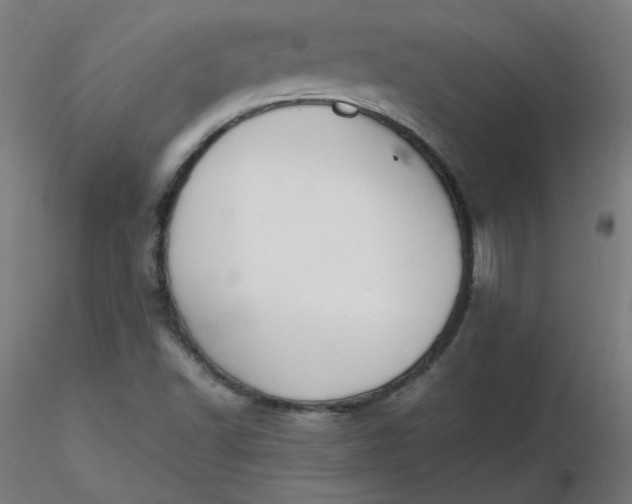 X0000116461502200912231350