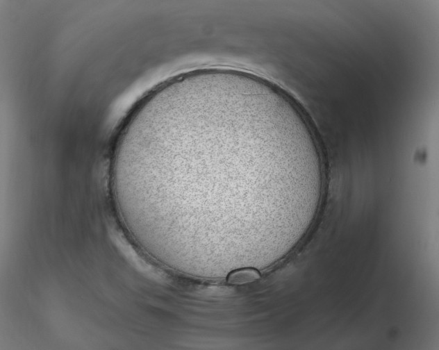 X0000116461503200912231350