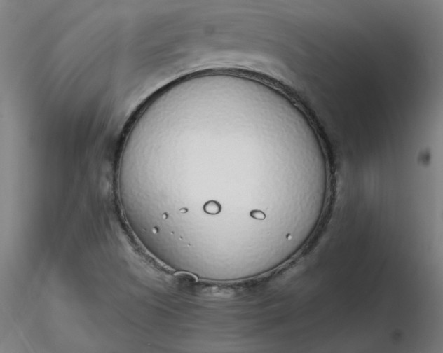 X0000116461505200912231350