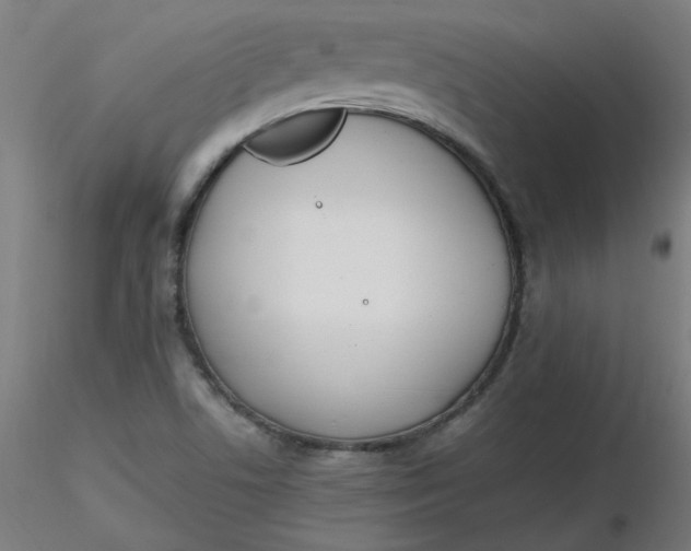 X0000116461506200912231350