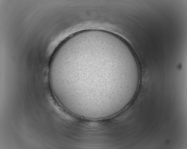 X0000116461507200912231350