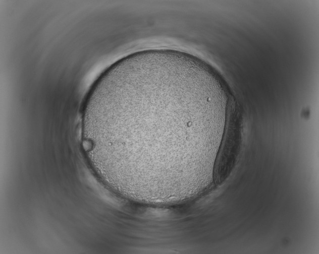 X0000116461509200912231350