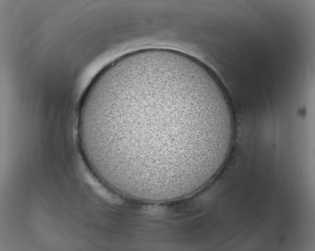 X0000116461511200912231350