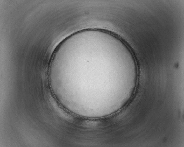 X0000116461513200912231350
