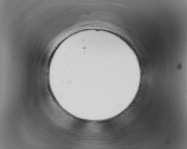 X0000116461514200912231350