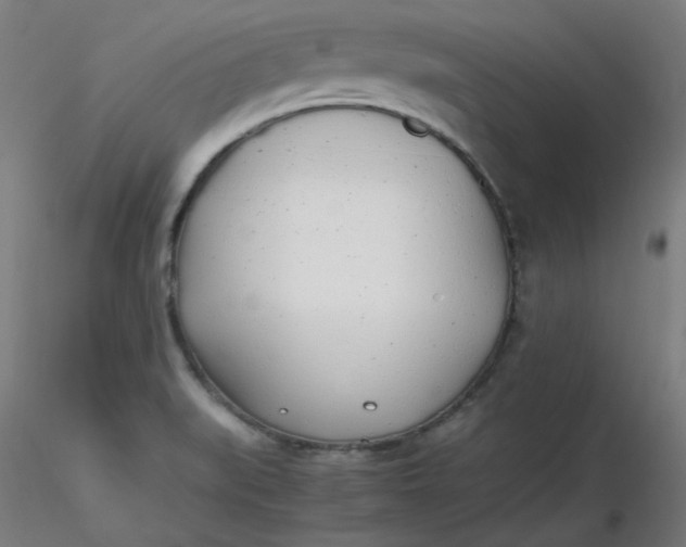 X0000116461519200912231350