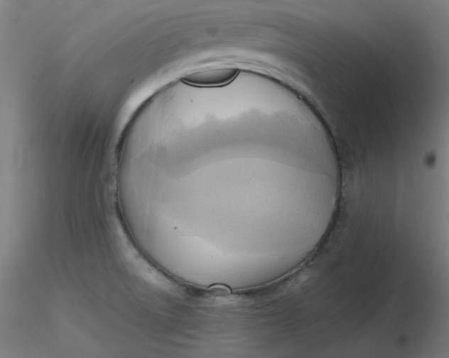 X0000116461522200912231350
