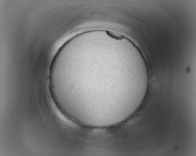 X0000116461523200912231350