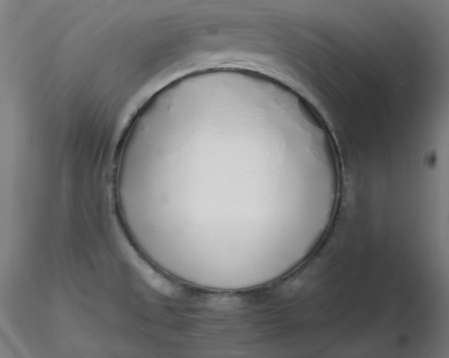 X0000116461525200912231350