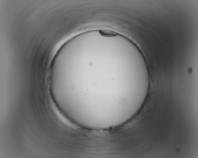 X0000116461526200912231350