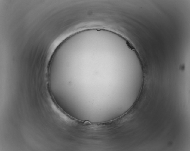 X0000116461527200912231350