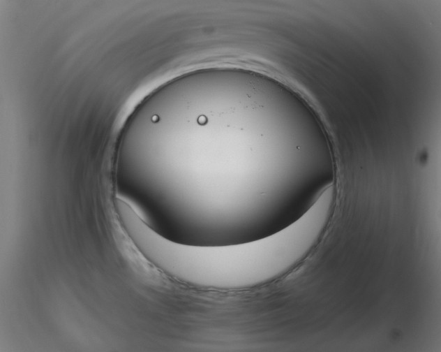 X0000116461530200912231350