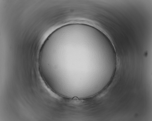 X0000116461533200912231350