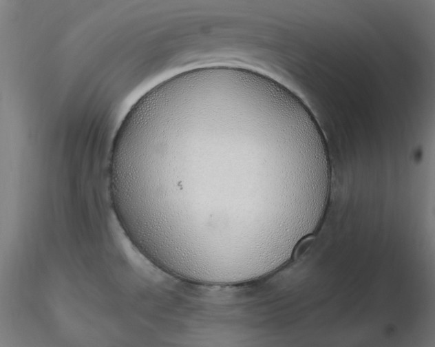 X0000116461534200912231350