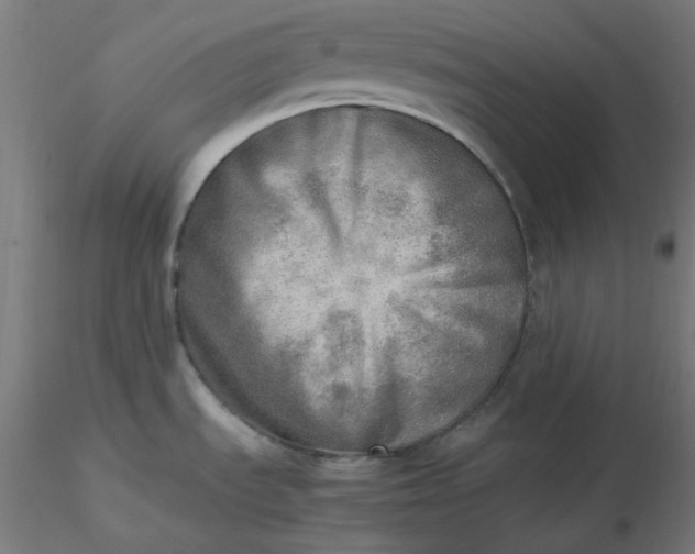 X0000116461535200912231350
