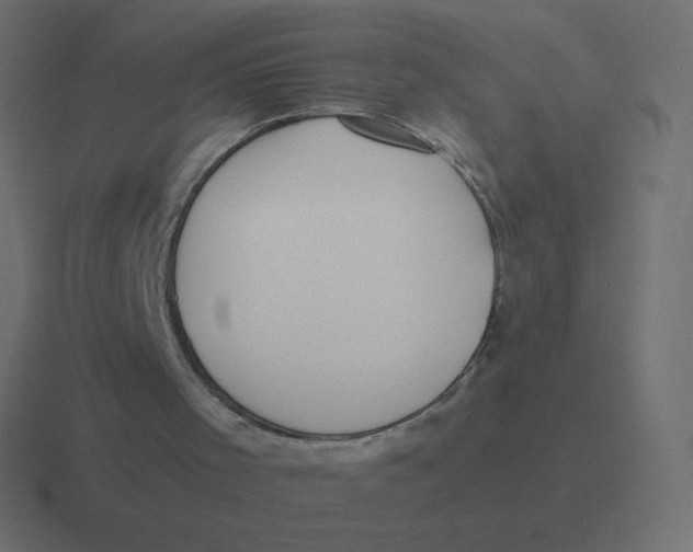 X0000116460001200912292016