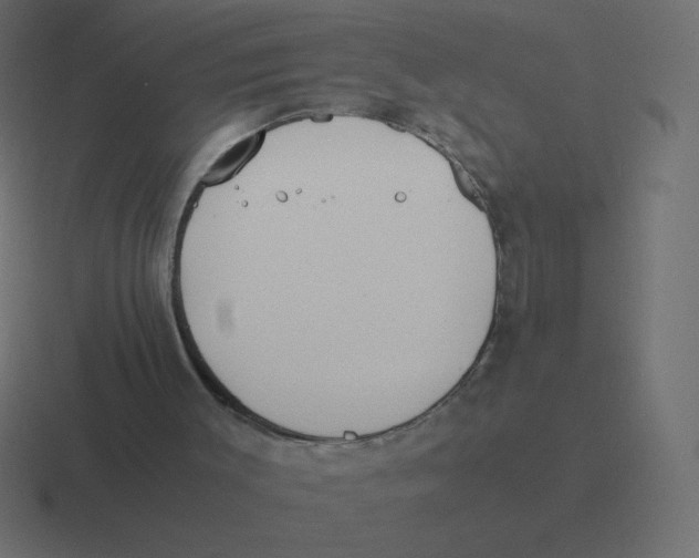 X0000116460003200912292016