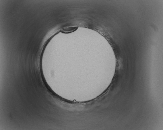 X0000116460004200912292016