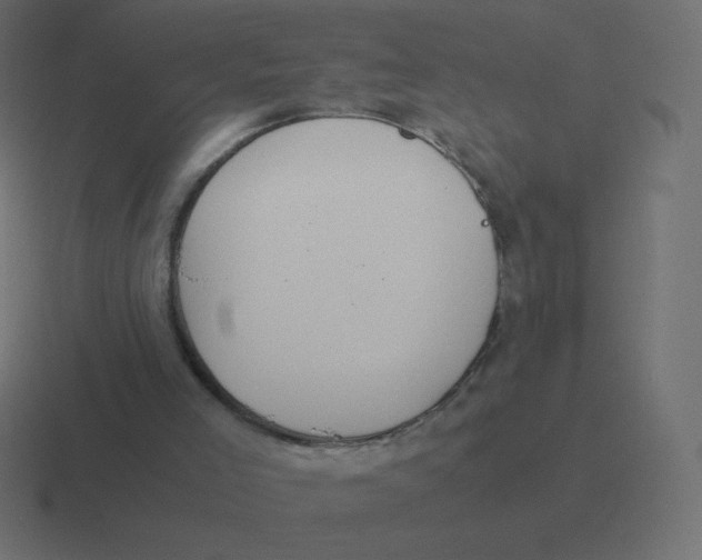 X0000116460005200912292016