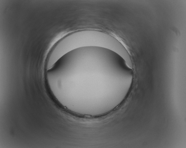 X0000116460008200912292016