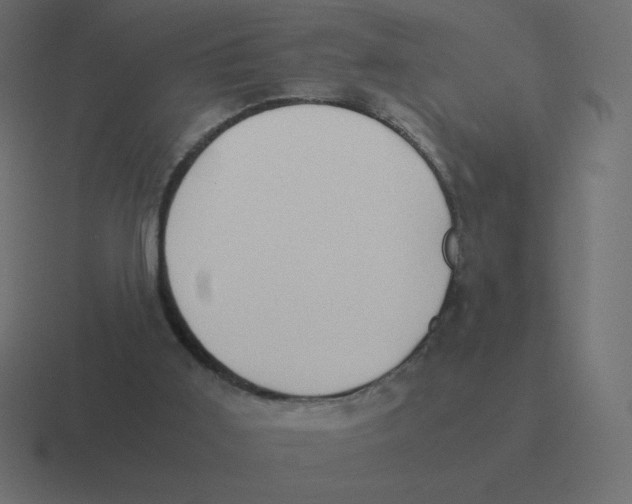 X0000116460011200912292016