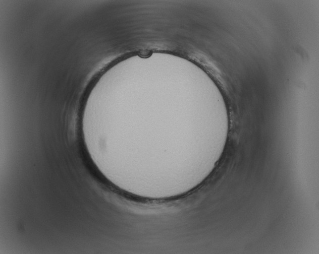 X0000116460012200912292016